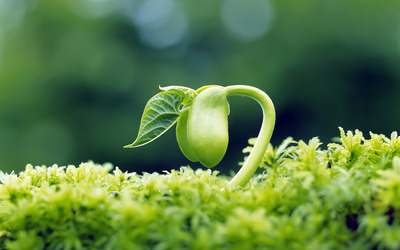 雨中的邂逅（鹿洼煤矿&nbsp;赵文华）