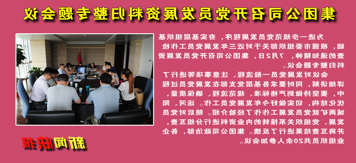 【图文】集团公司召开党员发展资料归整专题会议