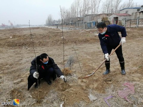 济矿物流：干群合力7小时 9000多株花椒树顺利种植