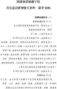 济宁能源发展集团 2022年第一季度主要财务信息公告