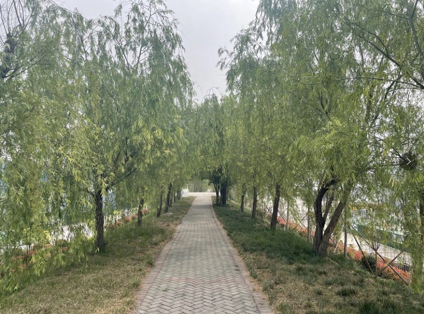 1664153384655816.png 微信截图_20220926084824.png