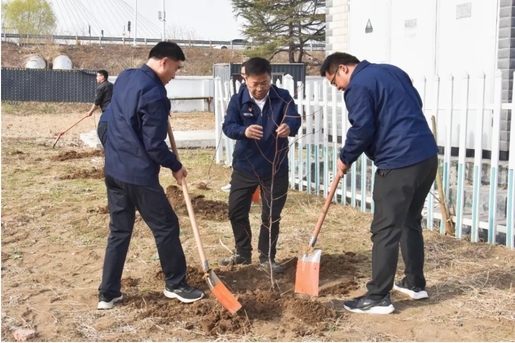 1712478192107390.png 1712478164429.png