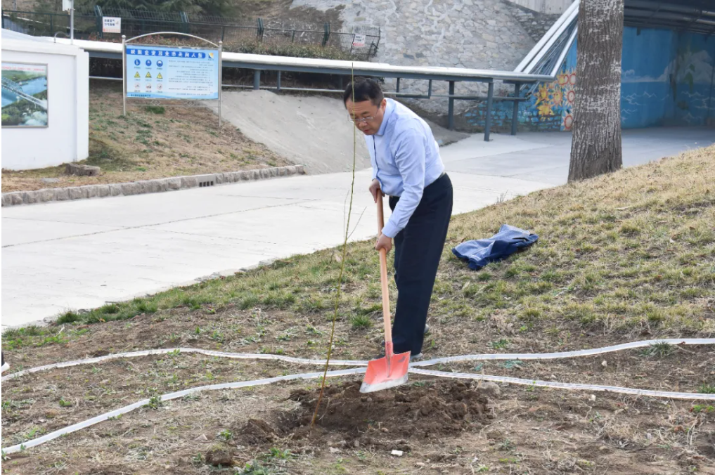 1712478269170448.png 1712478263014.png