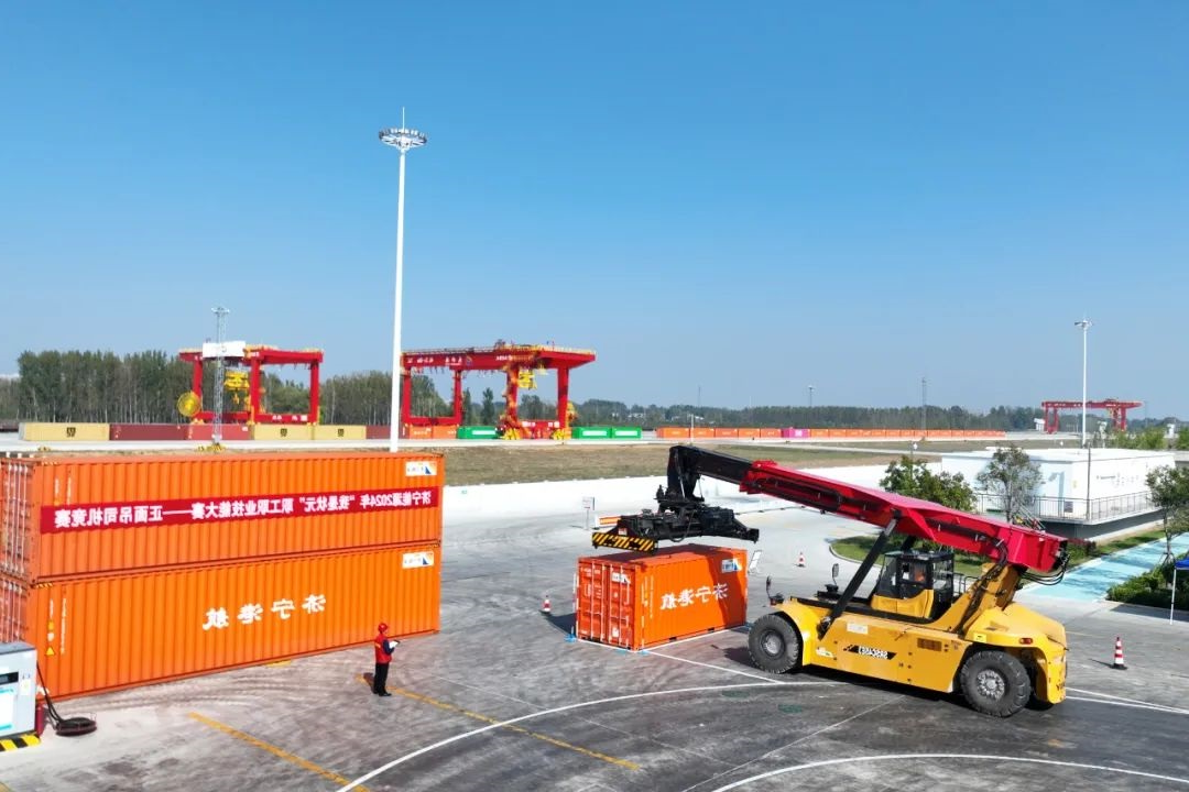 1729929280866057.jpg 0008.jpg