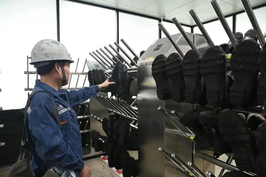 1733643636716909.jpg 0005.jpg