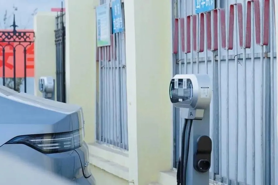 1737357179694102.jpg 0005.jpg