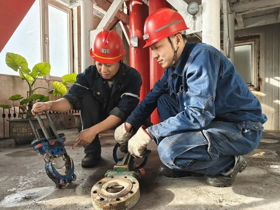 1766285685162488.jpg 0009.jpg