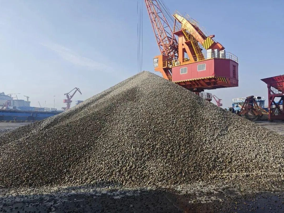 1767596655778057.jpg 04.jpg